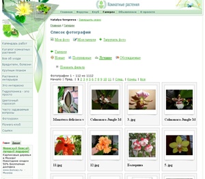 Клуб 'Комнатные растения' Клуб 'Комнатные растения'