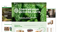Segezha Group, сайт лесопромышленного холдинга
