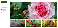 Интернет-магазин питомника роз "Мне сад роз"