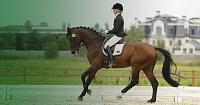 Разработка сайта для конно-спортивного клуба Rosenhof