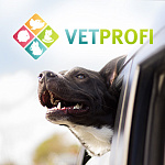 Ветеринарный портал «Vet Profi»