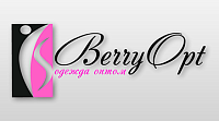 Интернет-магазин BerryOpt