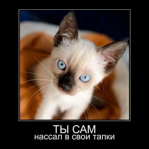 Генератор демотиваторов