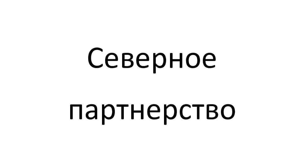 Северное партнерство