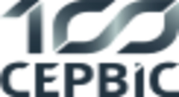 100 сервис