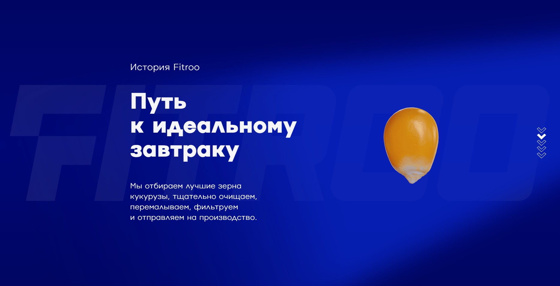 fitroo — интернет-магазин продуктов полезного питания