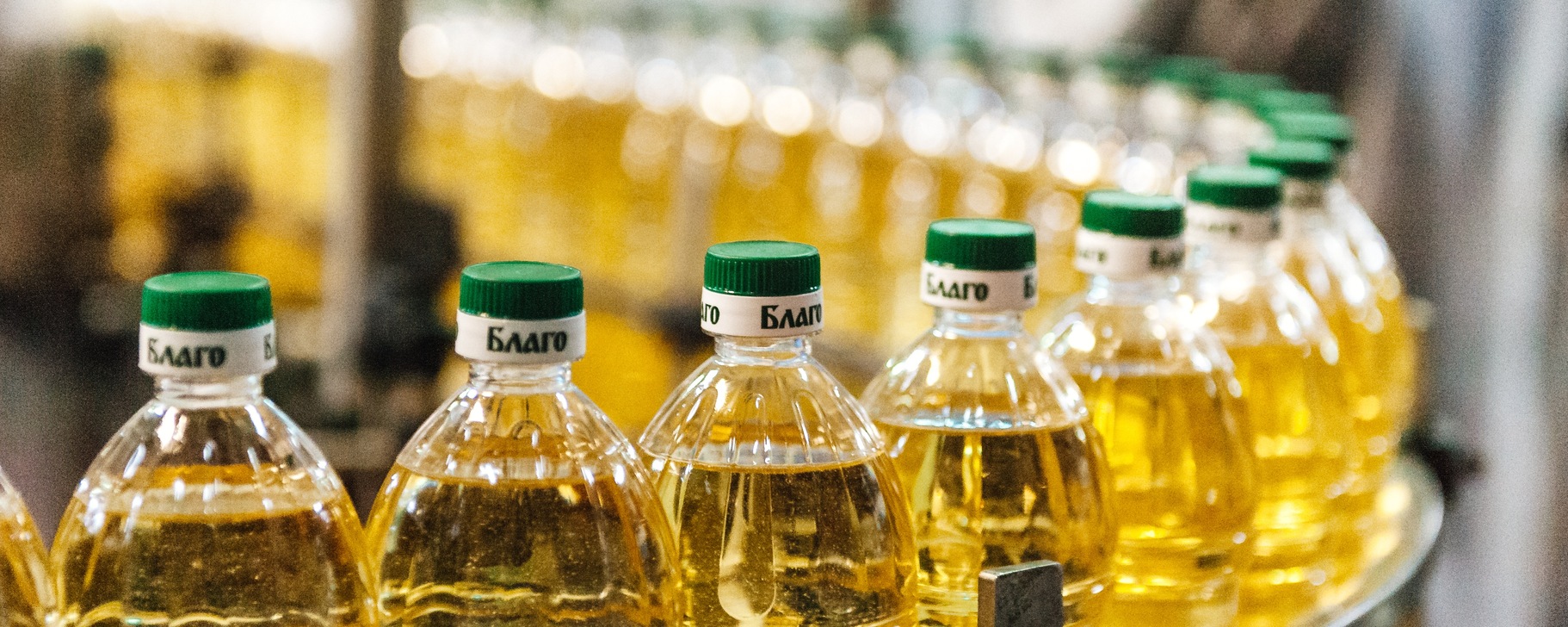 96% сотрудников довольны корпоративным порталом: цифровая экосистема на базе Битрикс24 для ГК «Благо»