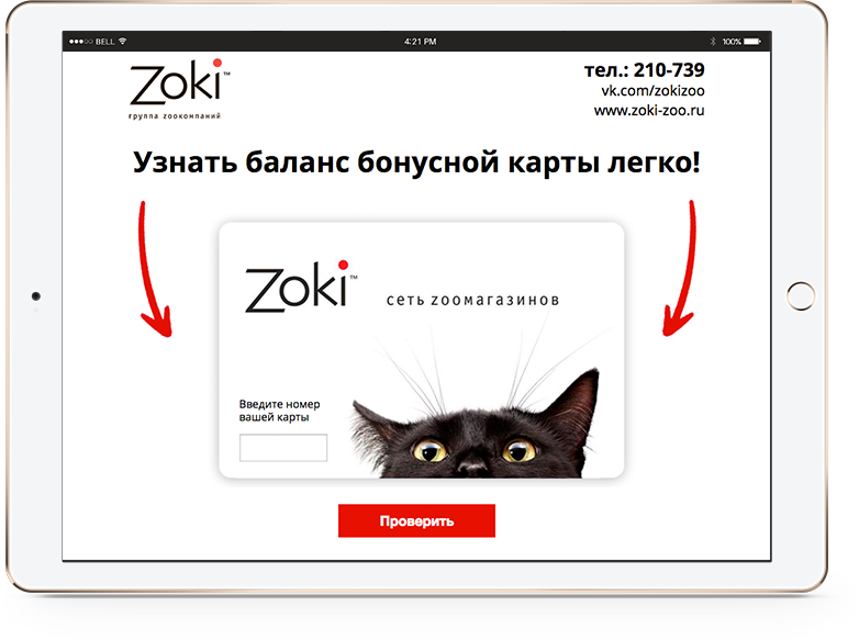 интернет-сервис для группы зоокомпаний "zoki"