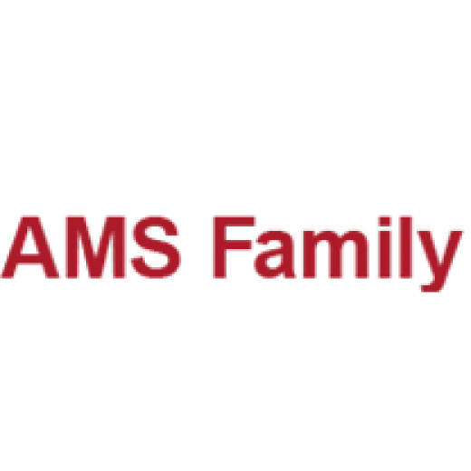 AMS Family - Транспортная компания. Международные перевозки грузов из стран Европы, Азии, Америки