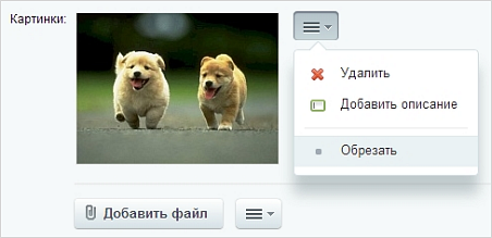 Обрезка изображений Обрезка изображений