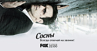 Сериал "Сосны" (Wayward Pines)