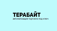 Терабайт - сайт компании, занимающейся автоматизацией торговли в г. Воронеж