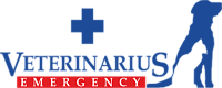 Veterinarius emergency