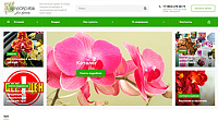 Xanaorchids-бесплатный сервис по сбору заказов на орхидеи и экзотических растений со всего мира