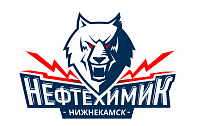 Разработка,развитие и поддержка портала хоккейного клуба "Нефтехимик Нижнекамск"