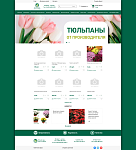 Рассада-шоп интернет магазин