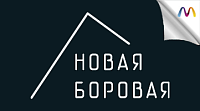 Новая боровая