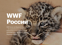 WWF России