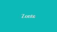Интернет-магазин стильной одежды Zonte