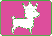 Создание интернет-магазина одежды и аксессуаров для собак «Лимарджи»