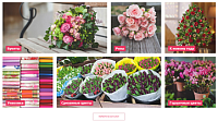 Цветочный интернет-магазин «Город цветов» компании «Тандем»