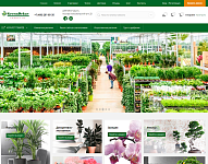 Интернет-магазин комнатных растений и цветов "Green Dekor"