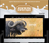 ЛУКМАН - Единственная в России буйволиная ферма