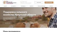 Сайт фонда "Центр поддержки субъектов малого и среднего предпринимательства в Иркутской области"