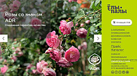 Интернет-магазин питомника декоративных и хвойных растений «Ёлы-палы»