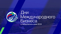 Дни Международного Бизнеса в Хабаровском крае