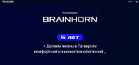 Промосайт ассоциации цифровых решений BRAINHORN