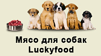 Сайт компании «Luckyfood»