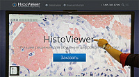 Лучшая практика в цифровой патологии HistoViewer