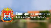 Официальный сайт Конкурсного агентства Калининградской области
