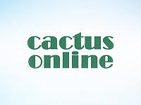Интернет-магазин упаковки и хозтоваров cactus-online.ru