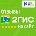 Отзывы с 2ГИС на сайт