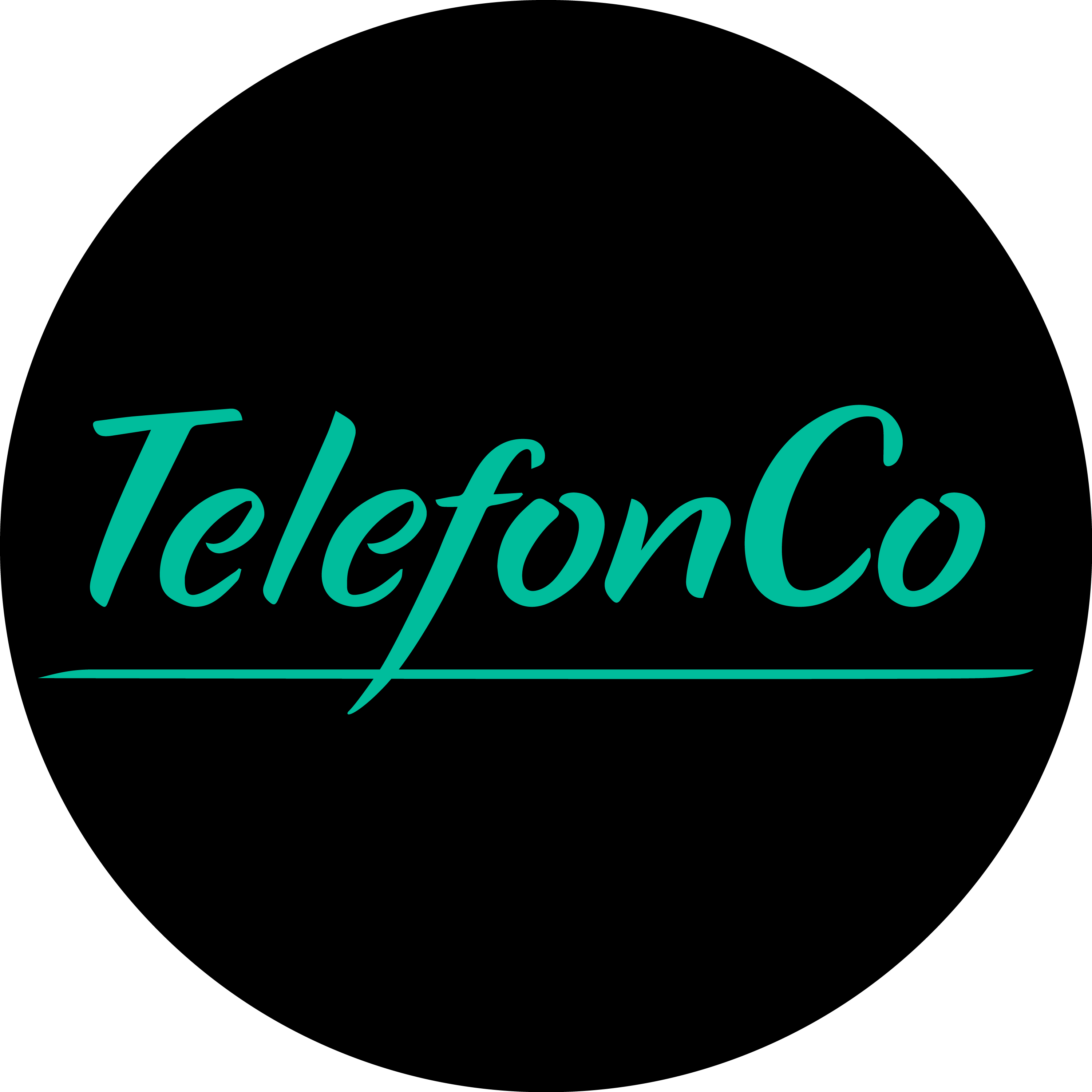 Виртуальная АТС TelefonCo